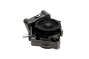 Pompa Wody Citroen Jumper 06- Graf