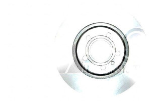 Tarcze Hamulcowe 2szt Audi A6 04- A.b.s.