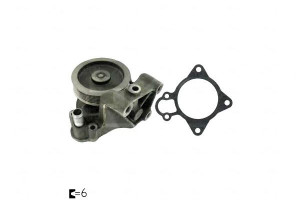 Pompa Wody Peugeot 3,0hdi 06- Ducato Jumper Skf