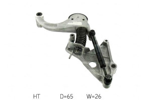 Napinacz Paska Klinowego Wiel. Mini R50 Skf