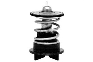 Termostat Vw 89c 3,6fsi Superb Passat Touareg Calo