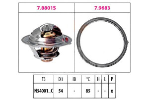 Termostat Facet 255002a050 1880803 580803