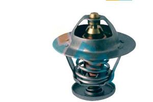 Termostat Fae 1338f5 1634187789000 9004833024000