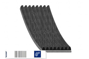 Pasek Wielorowkowy (8pk1225) Blue Print