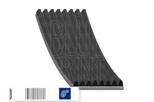 Pasek Wielorowkowy (8pk1230) Blue Print