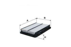 Filtr Powietrza Kia Filtron