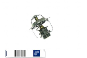 Termostat Suzuki Blue Print