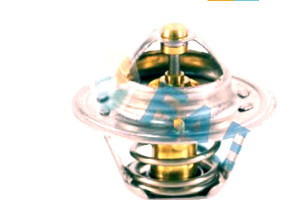 Termostat Alfa,ford,opel,rover Fae