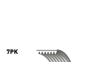 Pasek Wielorowkowy (7pk1135) Gates