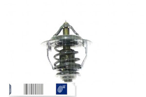 Termostat Hyundai Blue Print