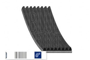 Pasek Wielorowkowy (8pk2512) Blue Print