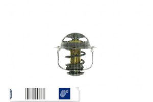 Termostat Blue Print