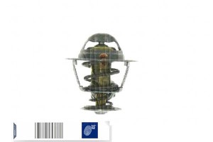 Termostat Nissan Blue Print