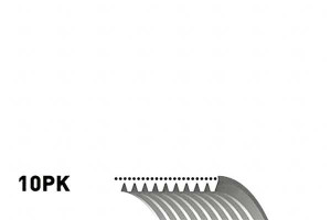 Pasek Wielorowkowy (10pk1145) Gates