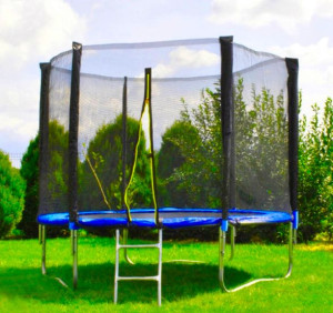 Zestaw Trampolina Ogrodowa 312cm + Drabinka Do Ogrodu Na Prezent