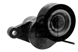 Napinacz Paska Klinowego Wiel. Citroen C3 C4 C5 Be