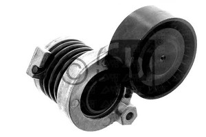 Napinacz Paska Klinowego Wiel. Dm C117 W176 W246 M