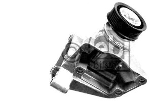 Napinacz Paska Klinowego Wiel. Ford Febi Bilstein