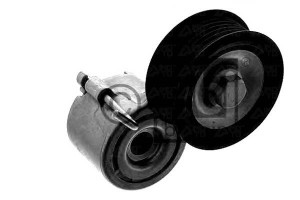 Napinacz Paska Wielorowkowego Audi A4 A5 A6 A6 All