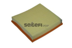 Filtr Powietrza Ford 2,2tdci 06- Purflux