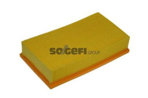 Filtr Powietrza Renault 2,2dci Purflux