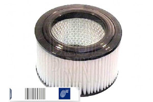 Filtr Powietrza Kia Pregio 2.5d 2.7d 08.95- Blue P