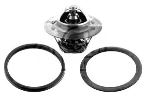 Termostat (89c) Citroen Xm Zx Fiat Ducato Ulysse L