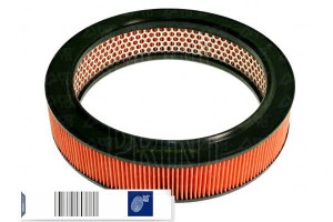 Filtr Powietrza Nissan Blue Print