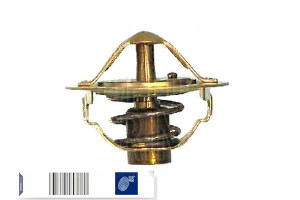 Termostat Nissan Blue Print