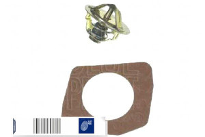 Termostat Nissan Blue Print