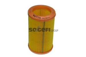 Filtr Powietrza Renault 1,6 Purflux
