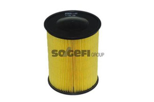 Filtr Powietrza Ford 1,6 2,0td Purflux