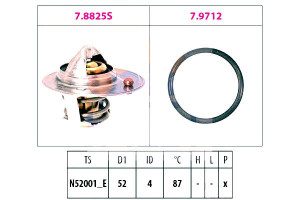 Termostat Citroen Eps