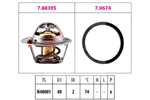 Termostat Ford Focus Ii Facet