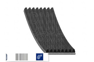 Pasek Wielorowkowy (8pk1355) Blue Print