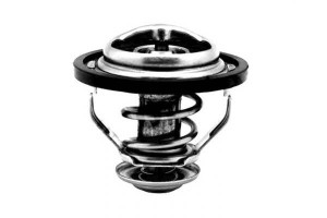 Termostat Citroen 89c 1,9d Calorstat