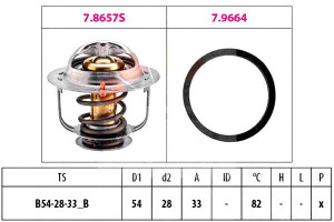 Termostat Fiat Peugeot Eps