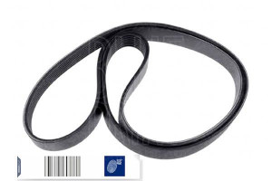 Pasek Wielorowkowy (7pk1792) Blue Print