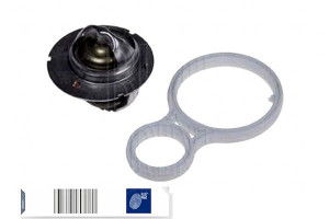 Termostat Mini Blue Print