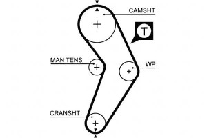 Pasek Rozrządu Renault 19 I 19 Ii 19 Ii Chamade Cl