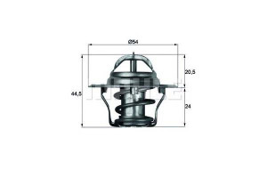 Termostat Ford Transit Behr