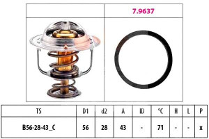 Termostat Facet 93180077 21200db000 2120000qab 441