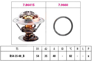 Termostat Ford Fusion Facet