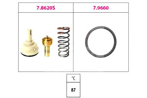 Termostat Facet 1880620 580620