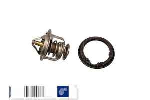 Termostat Honda Blue Print