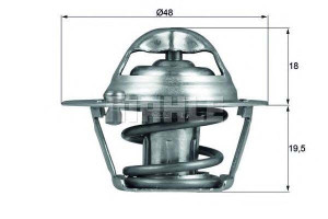 Termostat Ford Behr