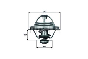 Termostat Bmw Volvo Behr