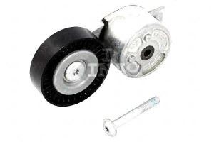 Napinacz Paska Klinowego Wiel. Ford 2,0tdci Ina