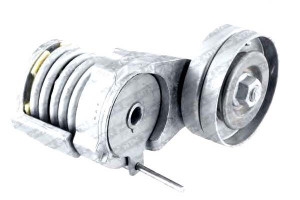 Napinacz Paska Wielorowkowego Seat Leon Toledo Ii