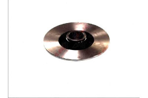 Tarcze Hamulcowe 2szt. Renault Megane Ii Scenic Ii